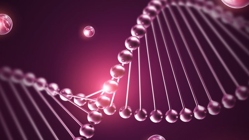 CDMO质量体系认证：揭秘生物医药行业的品质保障密码