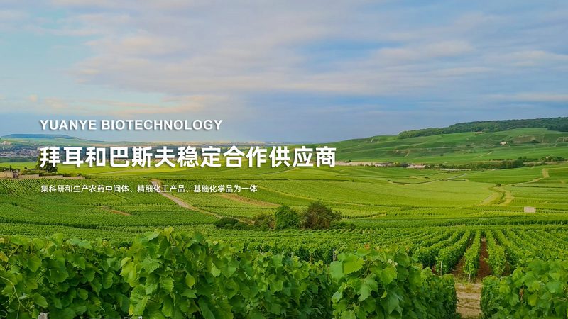 提升CRO转化率的关键策略解析
