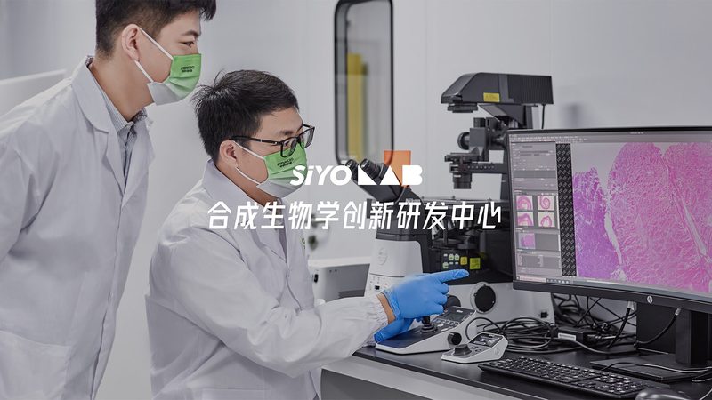 荧光引物合成：揭秘精准医疗的关键环节**