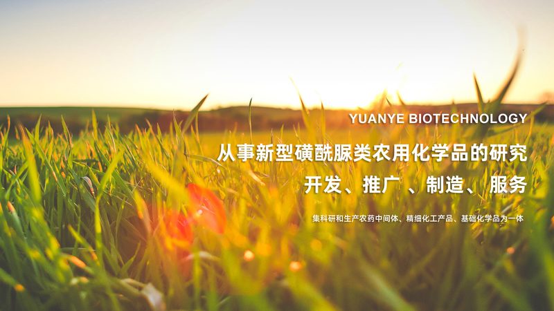细胞培养实验室设备：如何避免操作失误与维护陷阱
