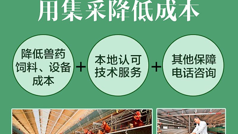 治疗性单克隆抗体定制：揭秘定制化药物的研发奥秘