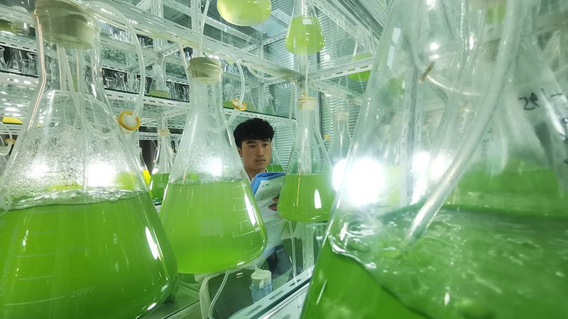 生物科技医疗应用公司排名，揭秘行业实力派**